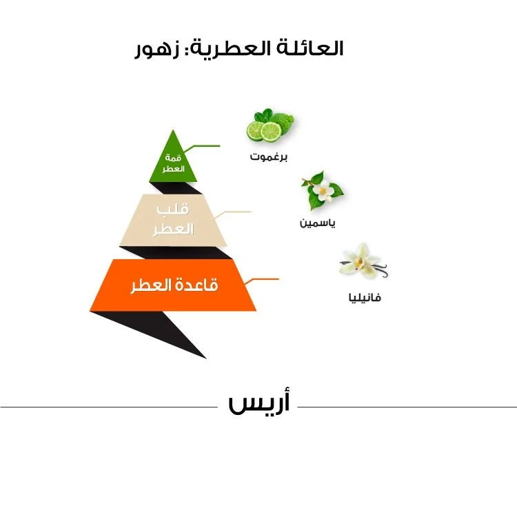 Aris 100ml Perfume by Al Majed Oud